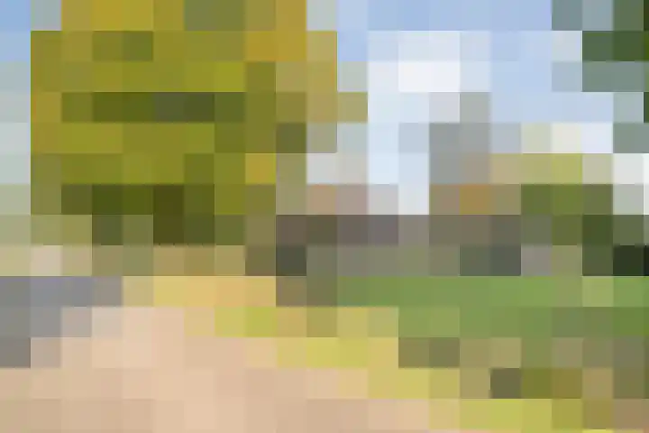 Vinckenweg 34 Geesteren thumbnail 31