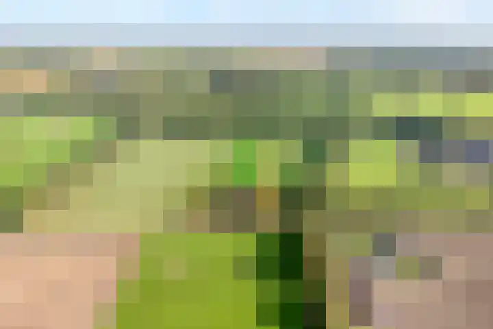 Vinckenweg 34 Geesteren thumbnail 32