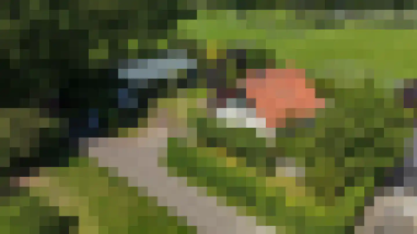 Vincwijcweg 14 Didam