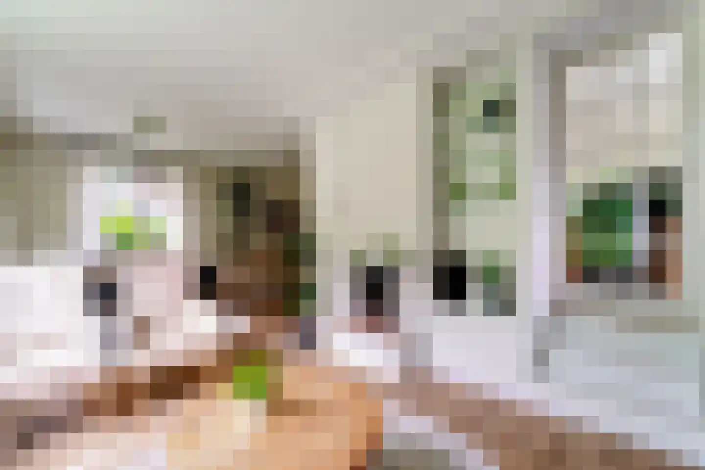 Vincwijcweg 14 Didam thumbnail 10