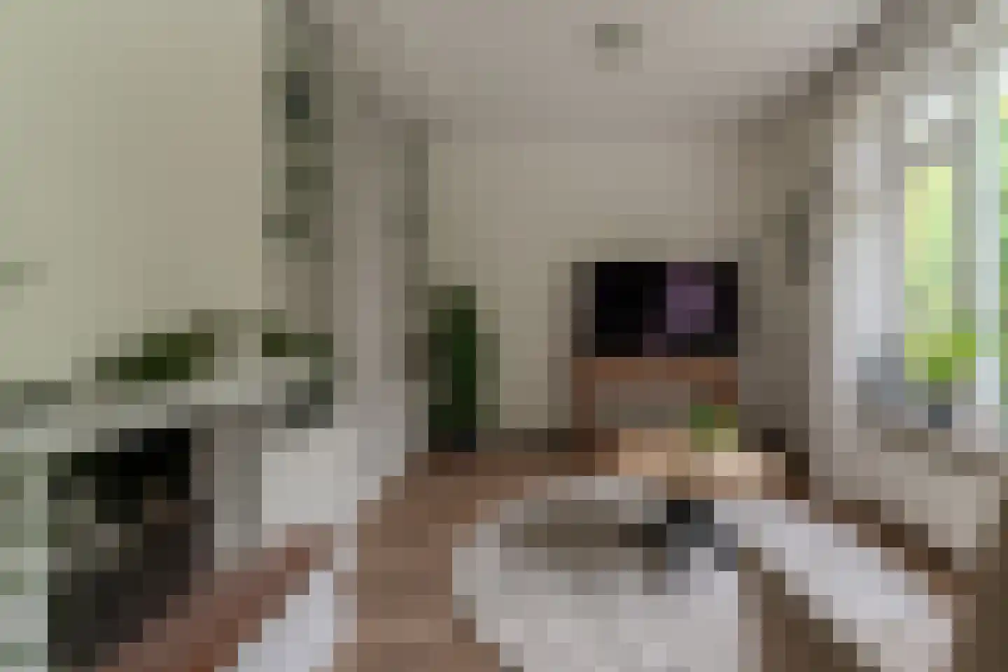 Vincwijcweg 14 Didam thumbnail 11