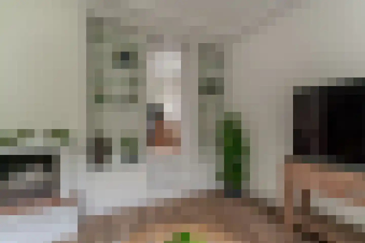Vincwijcweg 14 Didam thumbnail 12