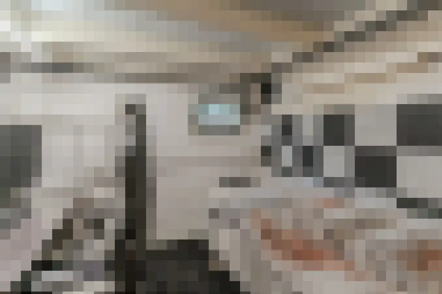 Vincwijcweg 14 Didam thumbnail 14