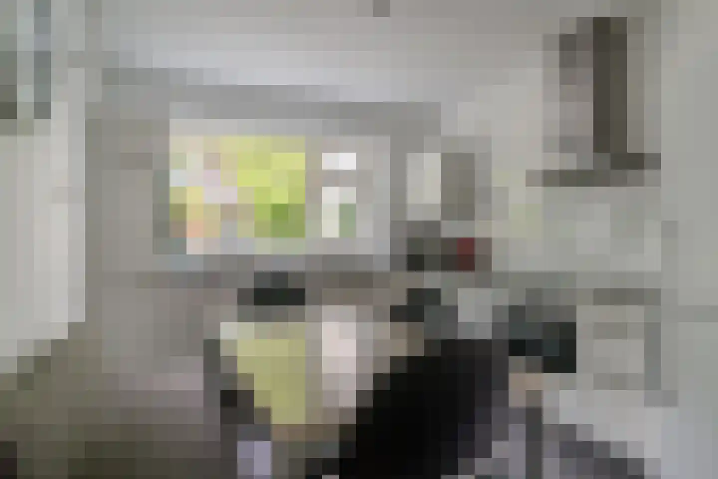 Vincwijcweg 14 Didam thumbnail 15