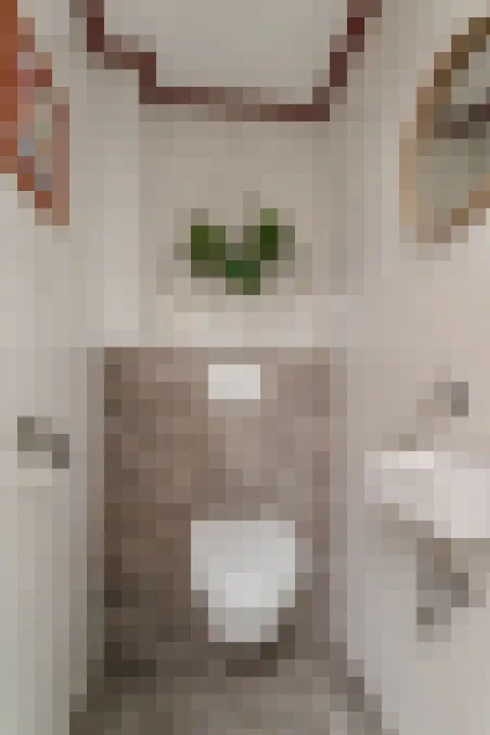 Vincwijcweg 14 Didam thumbnail 20