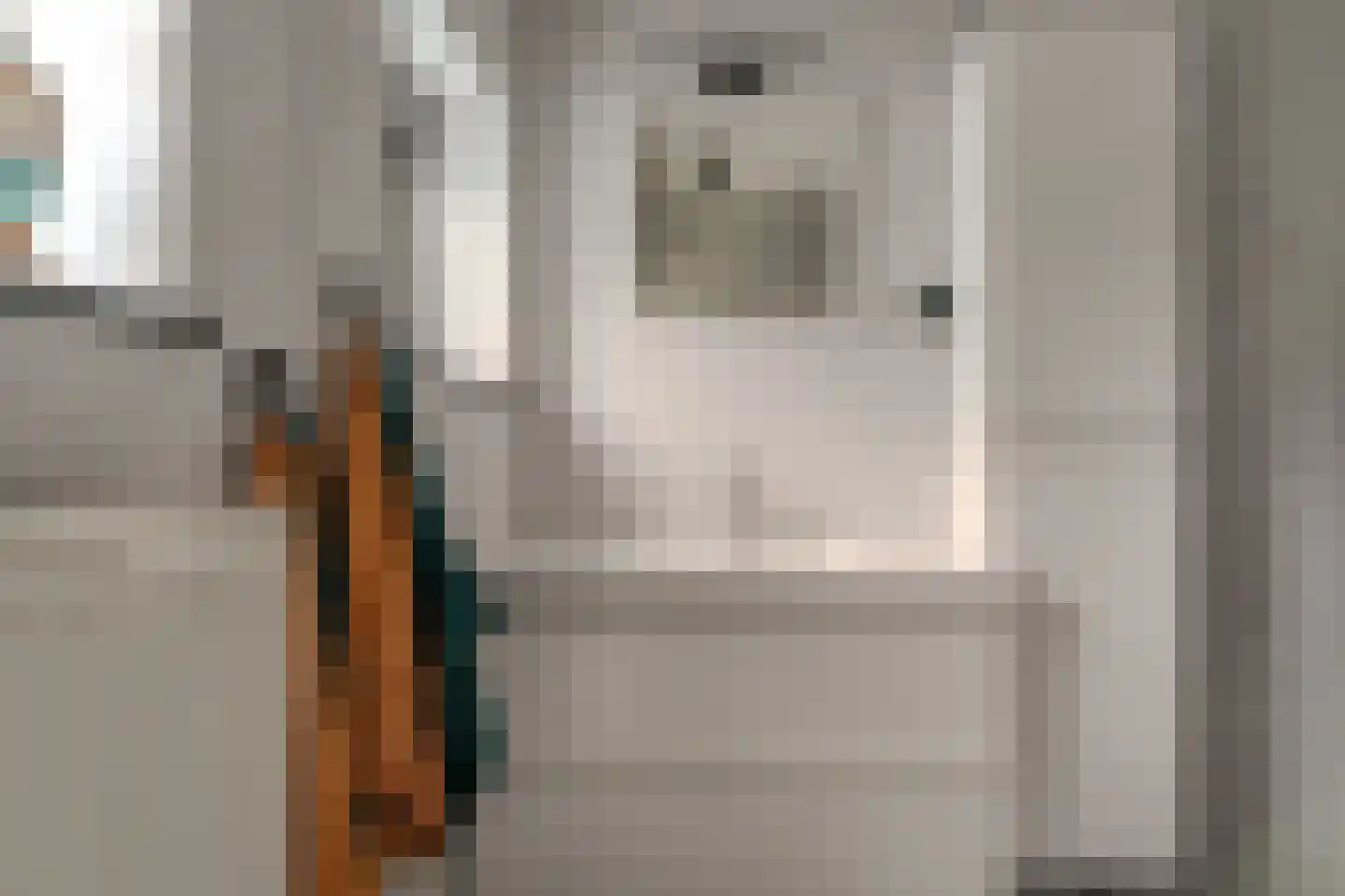 Vincwijcweg 14 Didam thumbnail 21