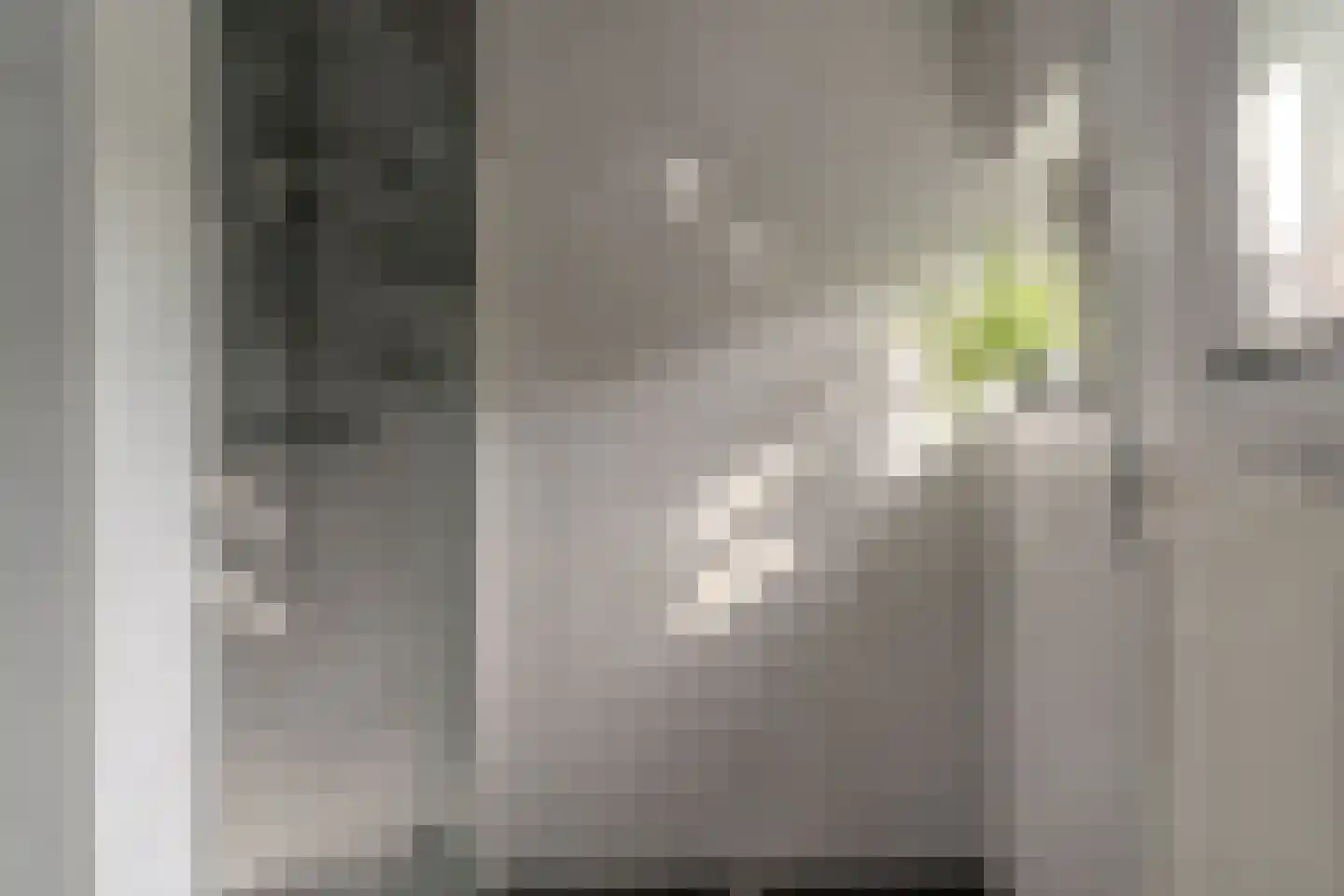 Vincwijcweg 14 Didam thumbnail 22
