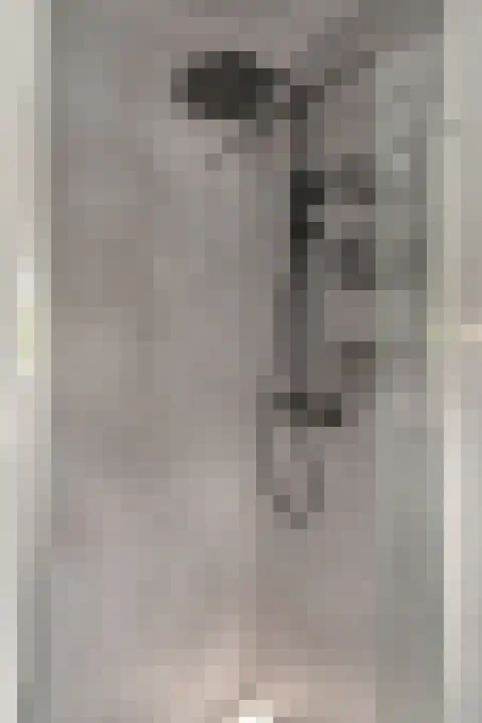 Vincwijcweg 14 Didam thumbnail 23