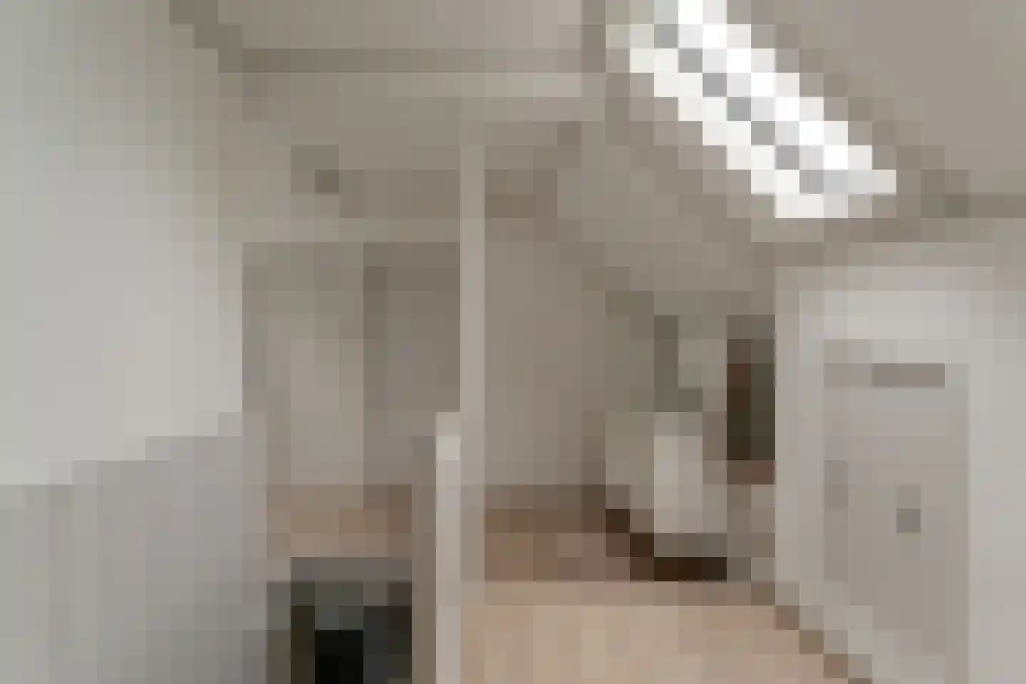 Vincwijcweg 14 Didam thumbnail 28
