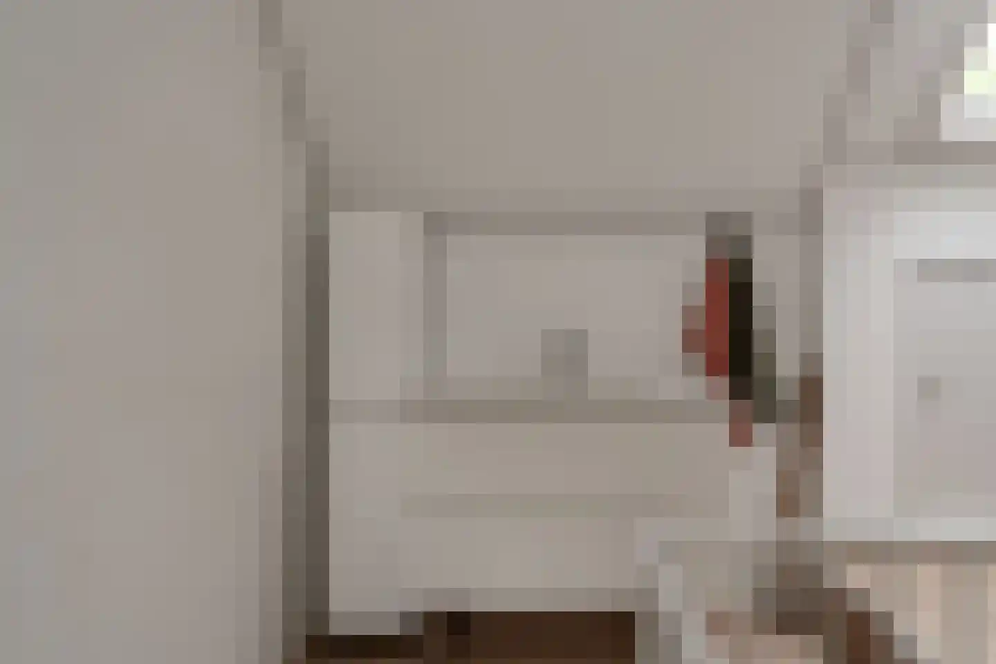 Vincwijcweg 14 Didam thumbnail 29