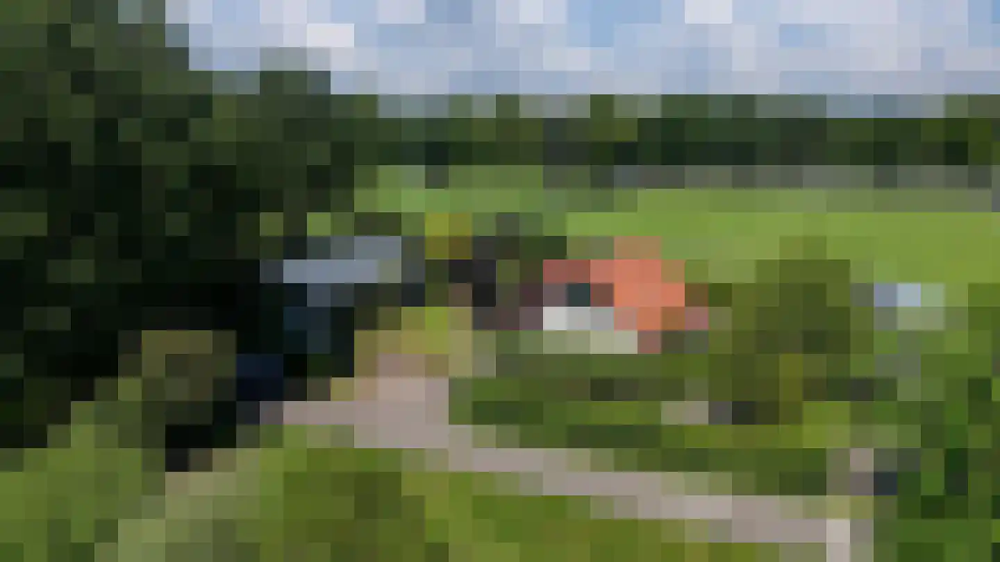 Vincwijcweg 14 Didam foto 3