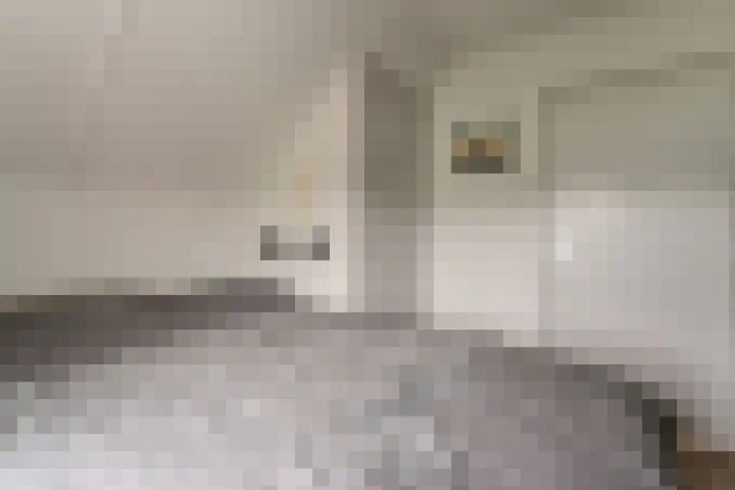 Vincwijcweg 14 Didam thumbnail 33