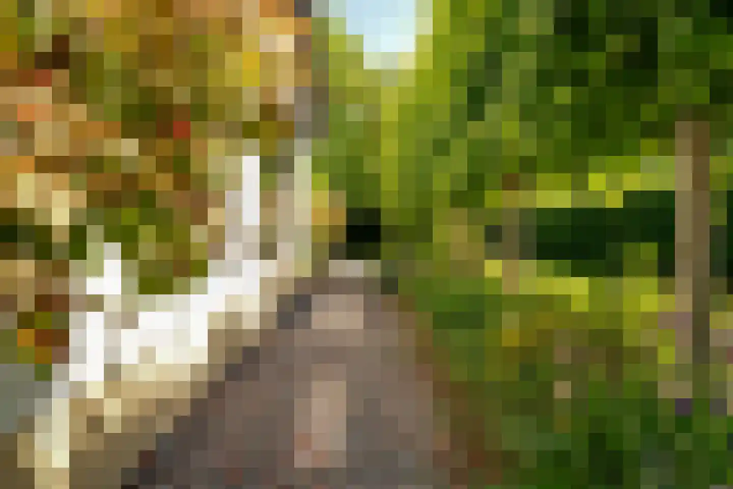 Vincwijcweg 14 Didam thumbnail 38