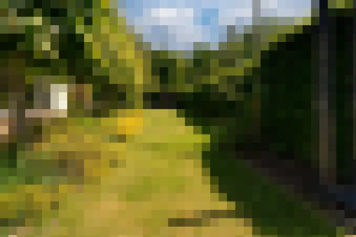 Vincwijcweg 14 Didam thumbnail 39