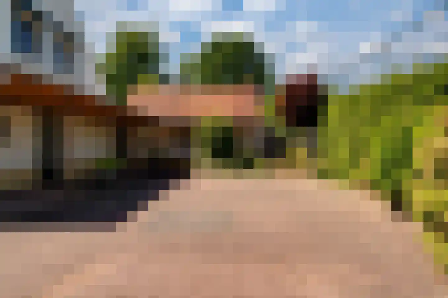 Vincwijcweg 14 Didam thumbnail 47