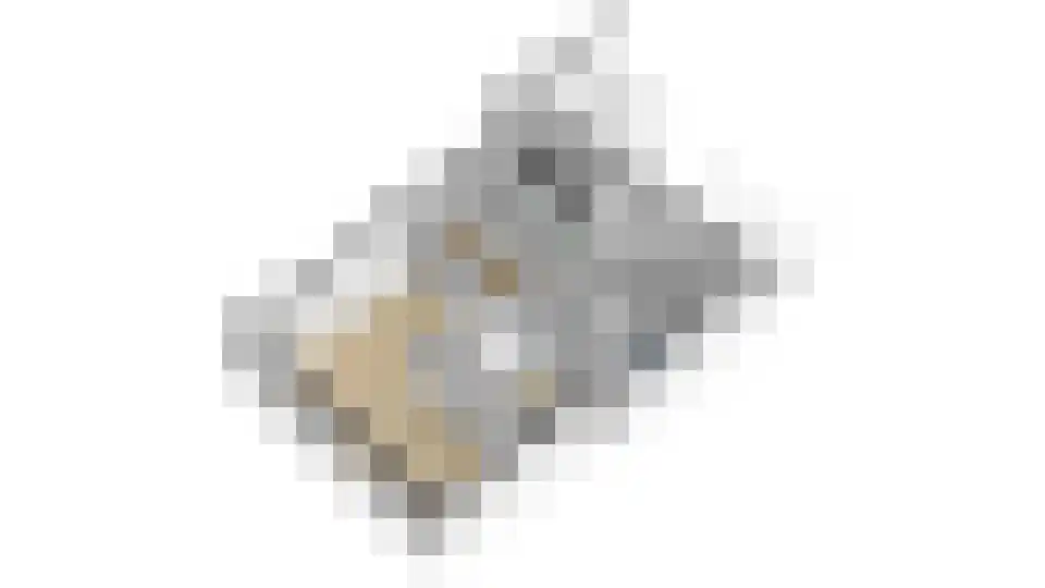 Vincwijcweg 14 Didam thumbnail 51