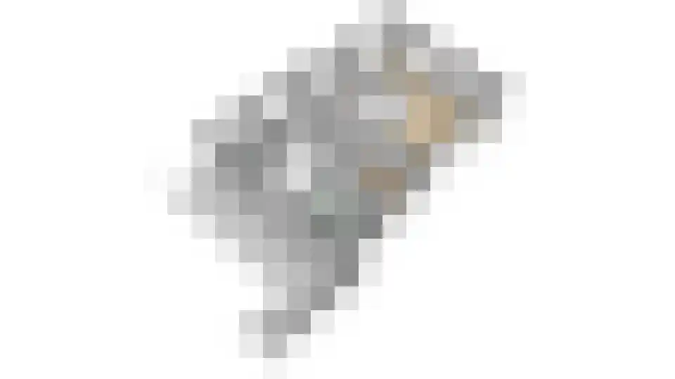 Vincwijcweg 14 Didam thumbnail 52