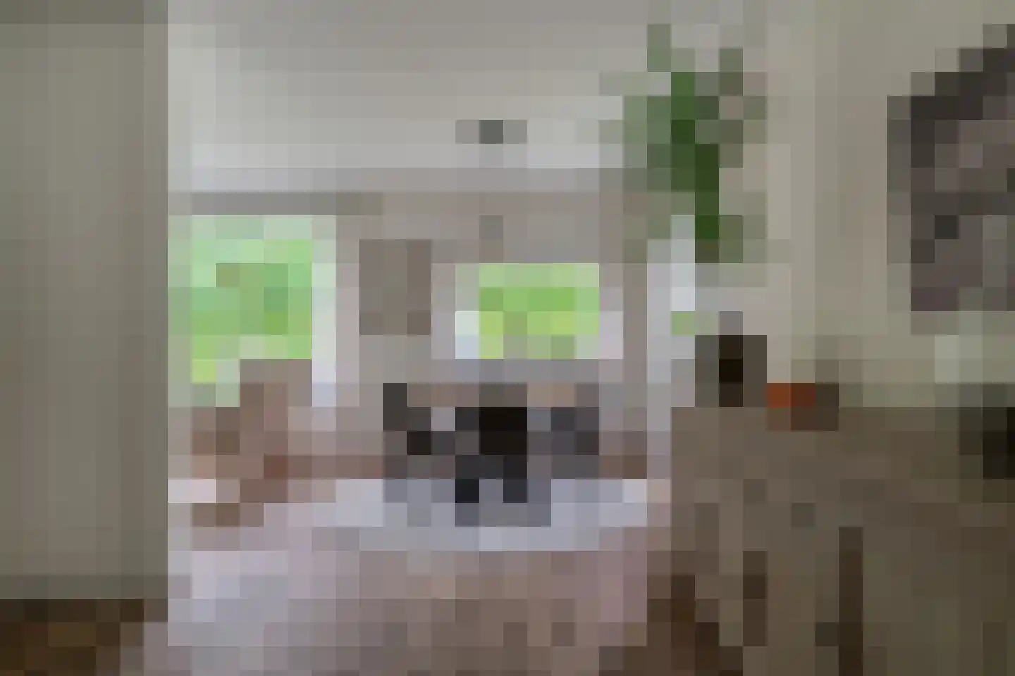 Vincwijcweg 14 Didam thumbnail 7