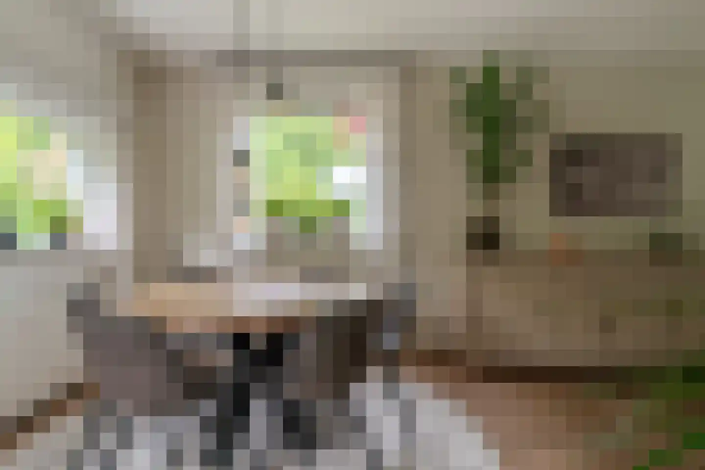 Vincwijcweg 14 Didam thumbnail 8
