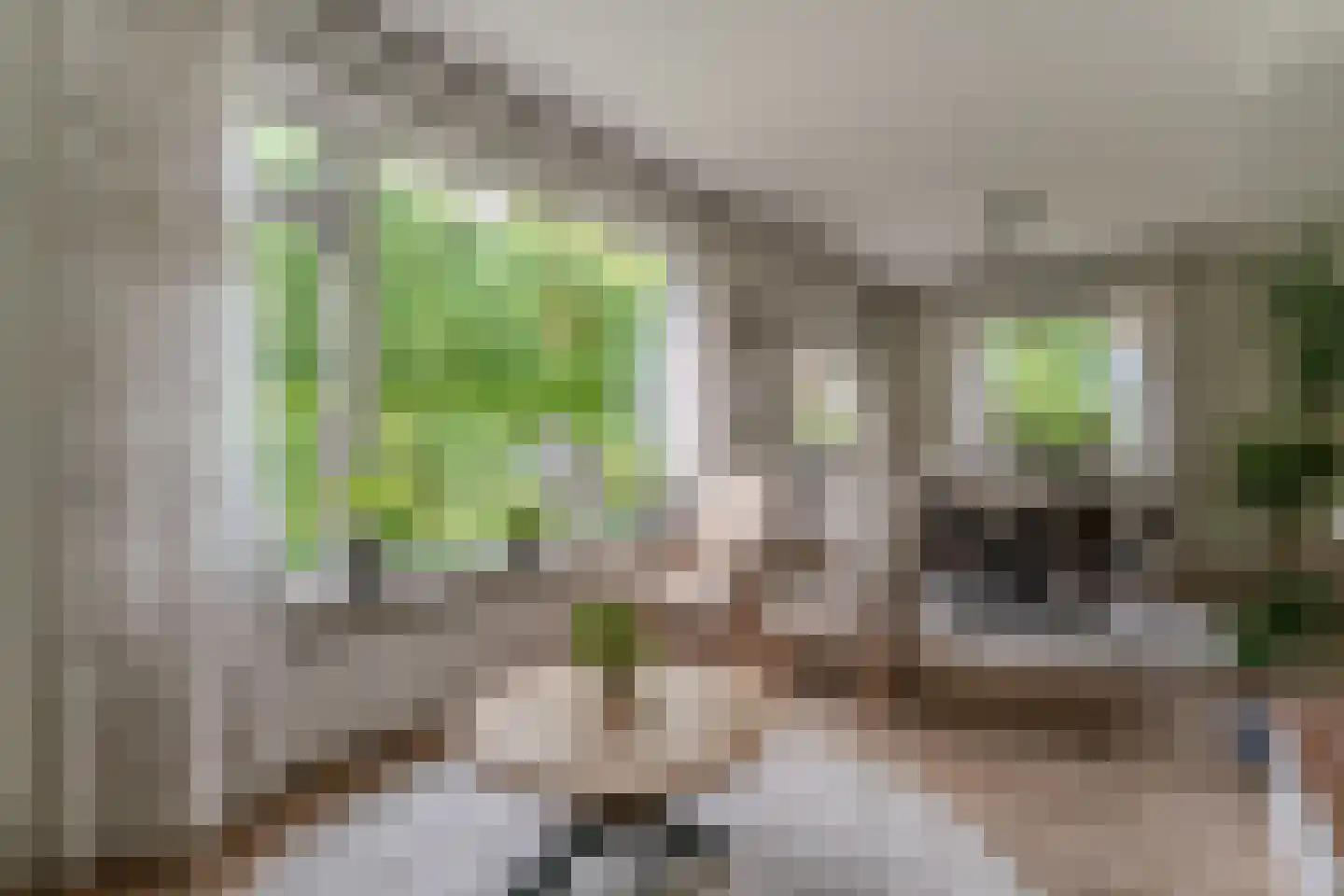 Vincwijcweg 14 Didam thumbnail 9