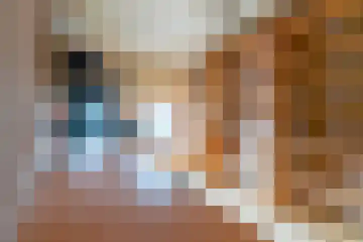 Vindelsweg 5 Tegelen thumbnail 22