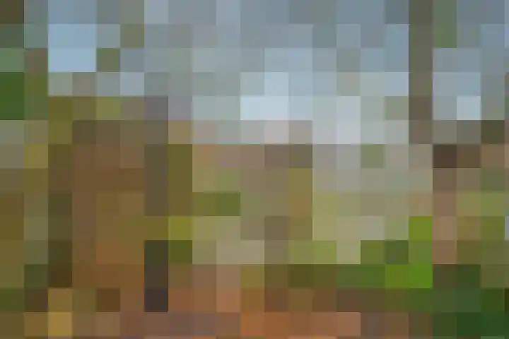Vindelsweg 5 Tegelen thumbnail 29