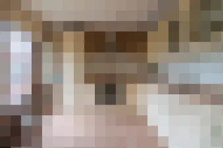 Vindelsweg 5 Tegelen foto 3