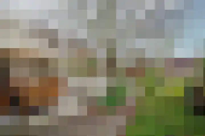 Vindelsweg 5 Tegelen thumbnail 31