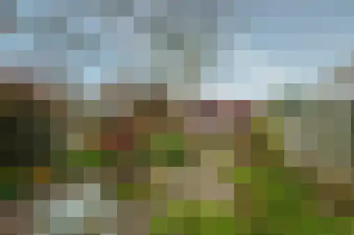Vindelsweg 5 Tegelen thumbnail 32