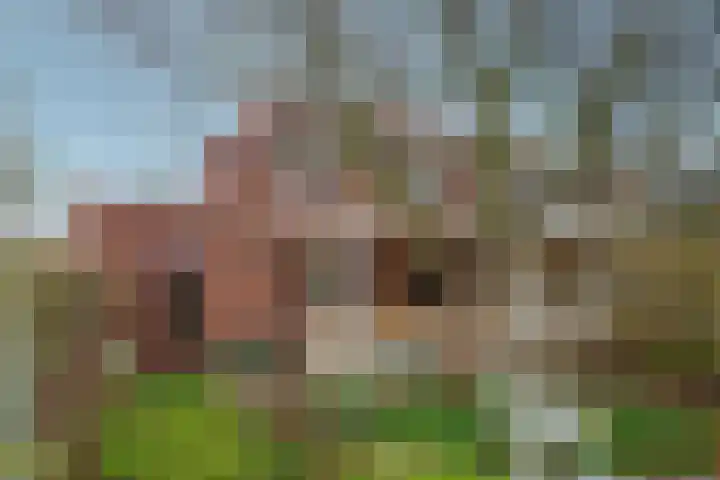 Vindelsweg 5 Tegelen thumbnail 34