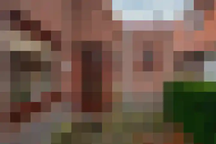 Vindelsweg 5 Tegelen thumbnail 38