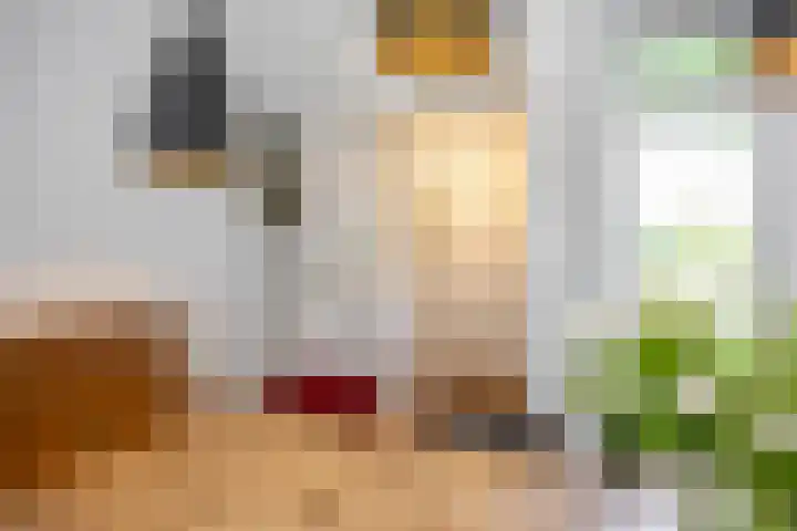 Vindicatstraat 2 Groningen thumbnail 10