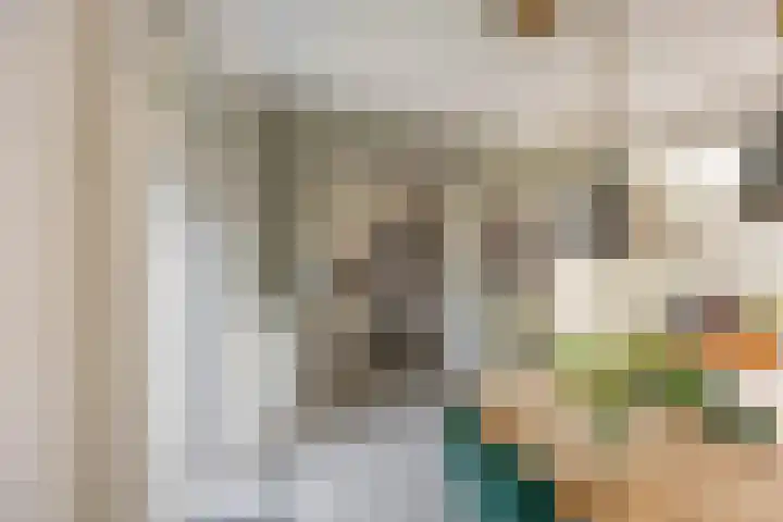 Vindicatstraat 2 Groningen thumbnail 11