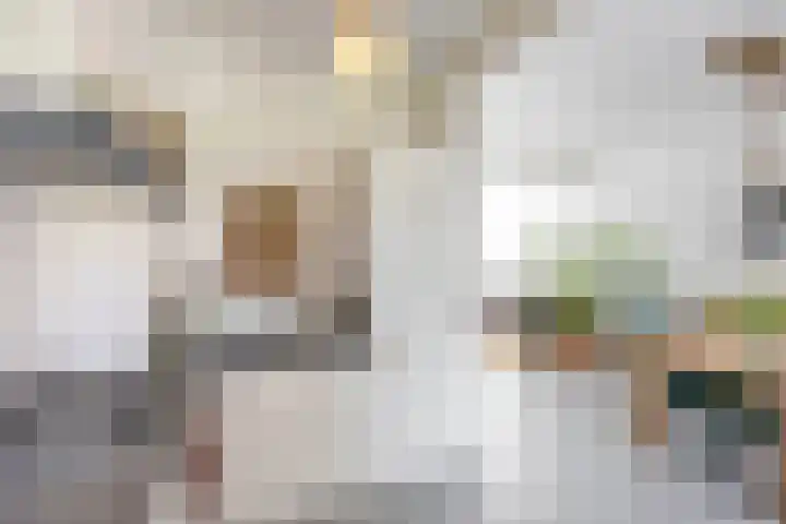 Vindicatstraat 2 Groningen thumbnail 13