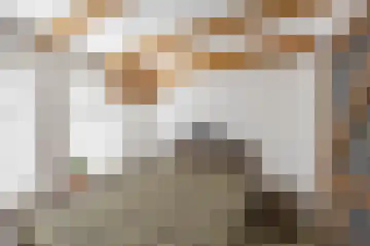 Vindicatstraat 2 Groningen thumbnail 21