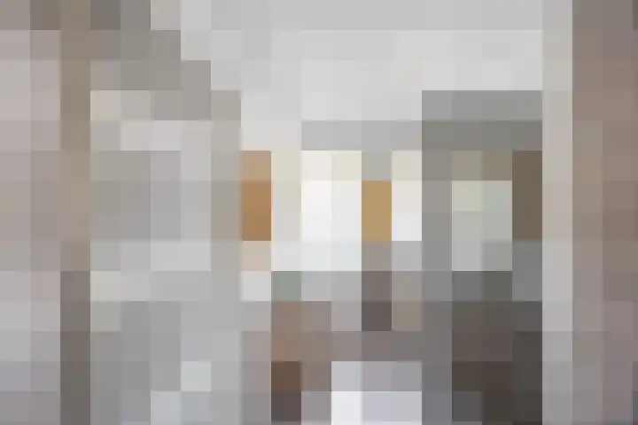 Vindicatstraat 2 Groningen thumbnail 24