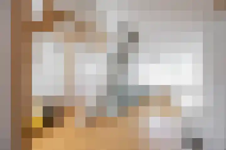 Vindicatstraat 2 Groningen thumbnail 34