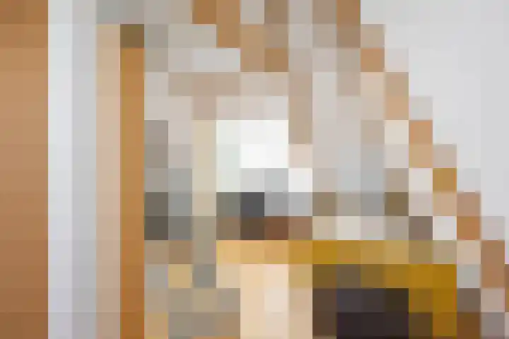 Vindicatstraat 2 Groningen thumbnail 36