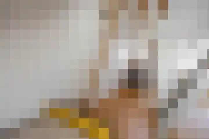 Vindicatstraat 2 Groningen thumbnail 37