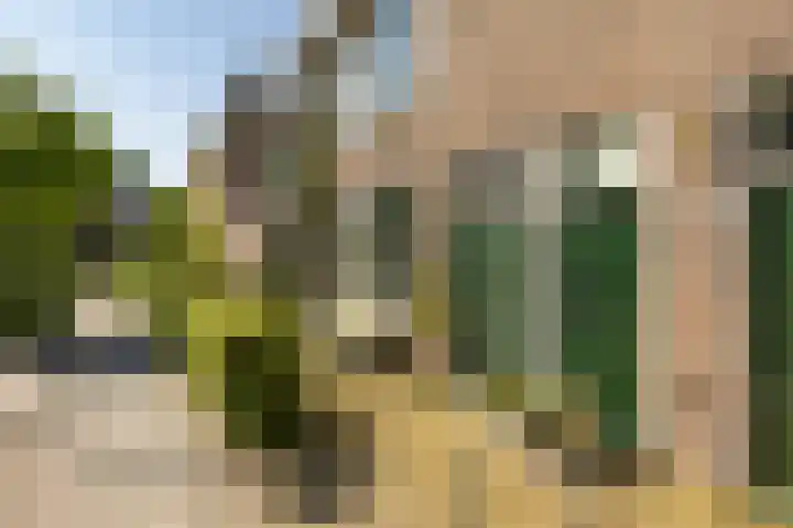 Vindicatstraat 2 Groningen thumbnail 4