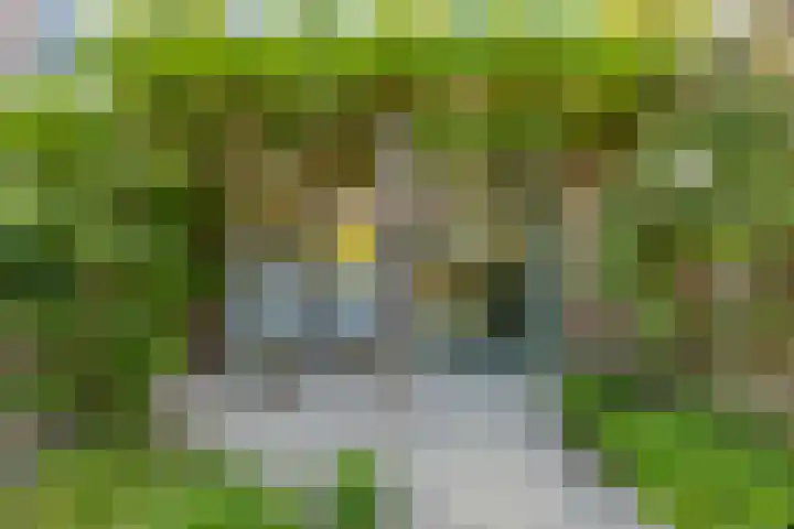 Vindicatstraat 2 Groningen thumbnail 40