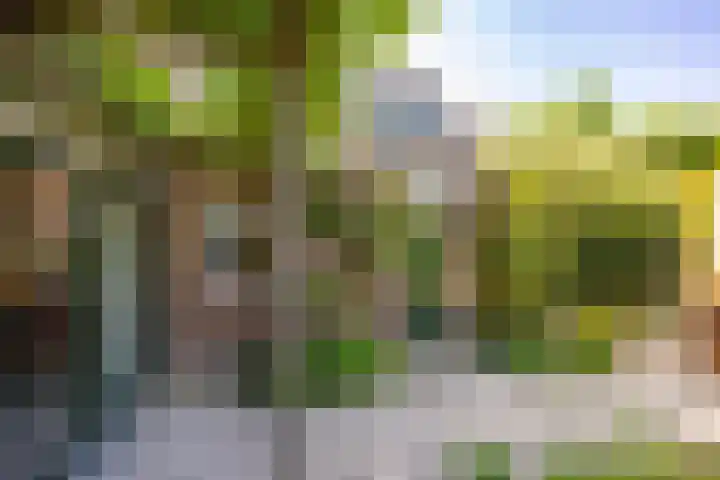 Vindicatstraat 2 Groningen thumbnail 41