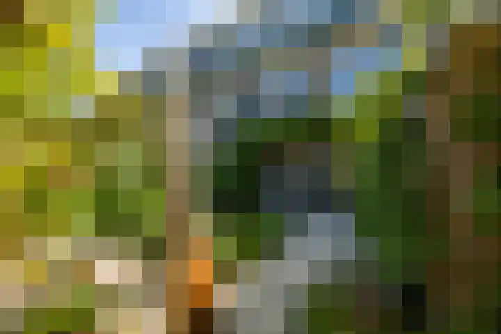 Vindicatstraat 2 Groningen thumbnail 42