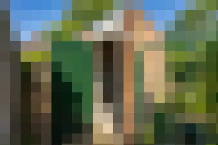 Vindicatstraat 2 Groningen thumbnail 43