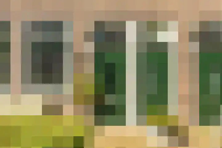 Vindicatstraat 2 Groningen thumbnail 44