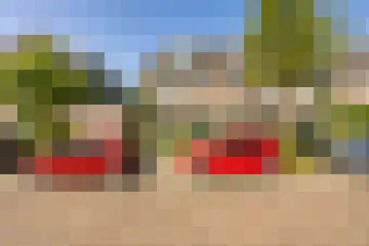 Vindicatstraat 2 Groningen thumbnail 45