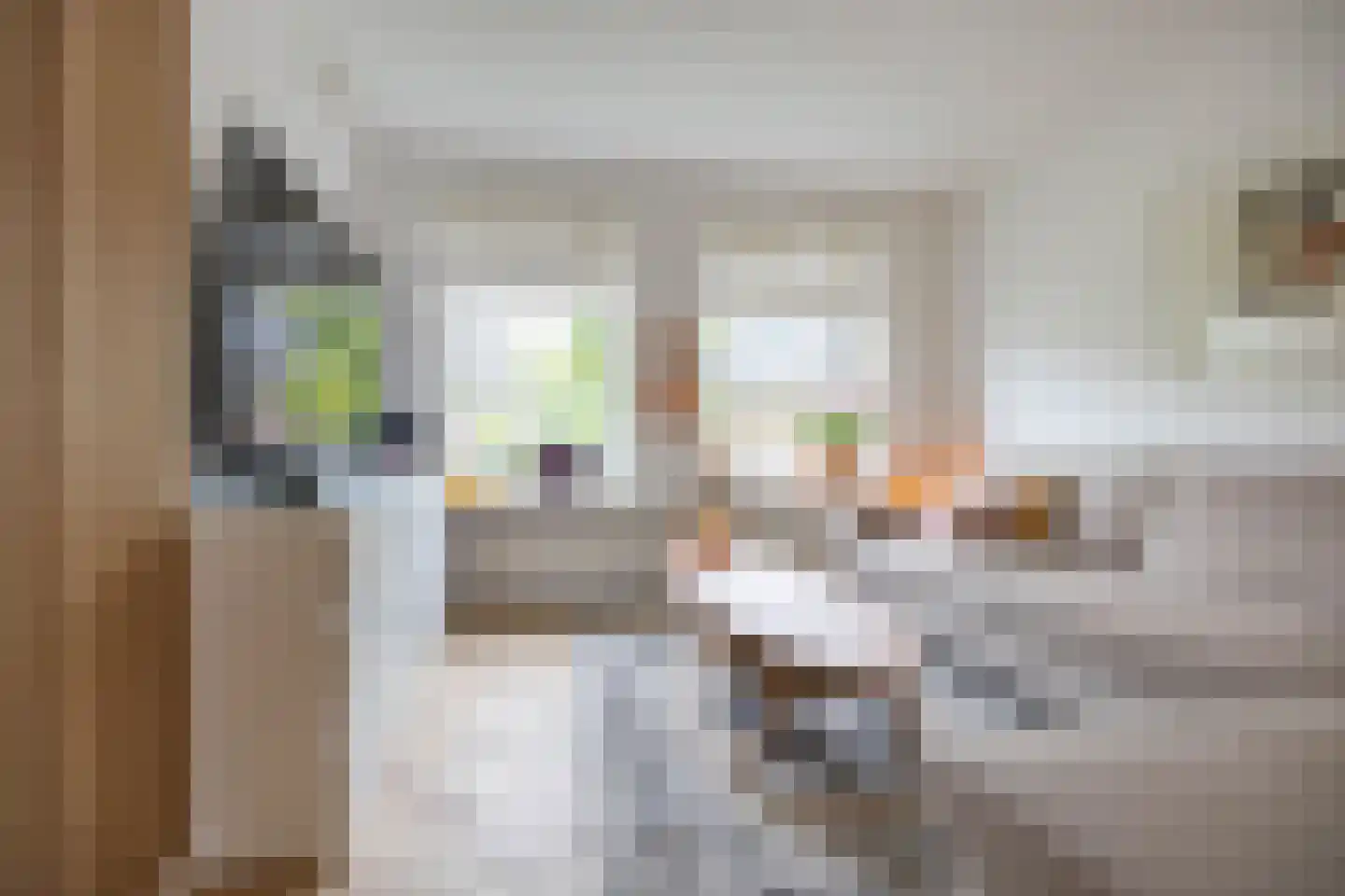 Vindicatstraat 21 a Groningen thumbnail 12