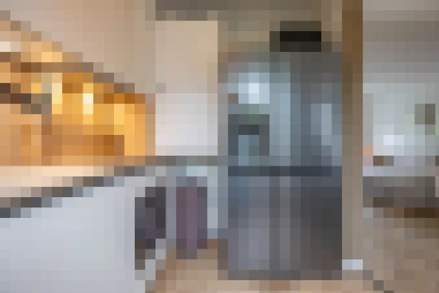 Vindicatstraat 21 a Groningen thumbnail 15