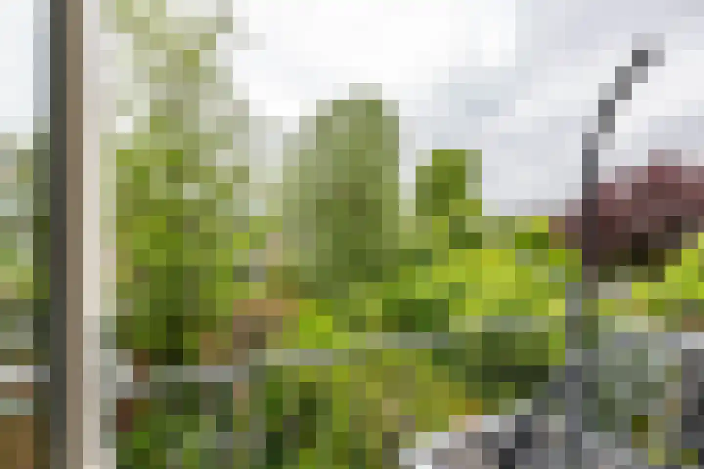 Vindicatstraat 21 a Groningen thumbnail 18