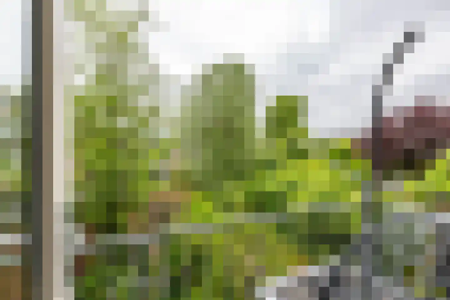 Vindicatstraat 21 a Groningen thumbnail 19